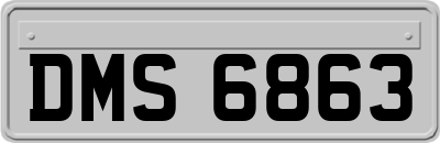 DMS6863
