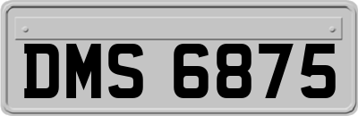 DMS6875