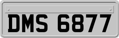DMS6877