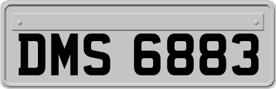 DMS6883