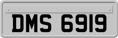 DMS6919