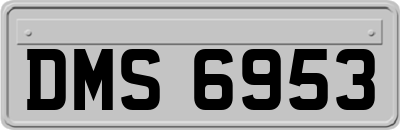 DMS6953