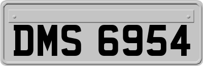 DMS6954