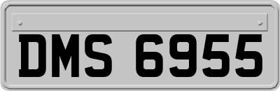 DMS6955