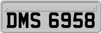 DMS6958