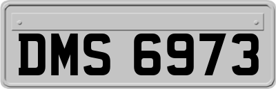 DMS6973