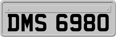 DMS6980