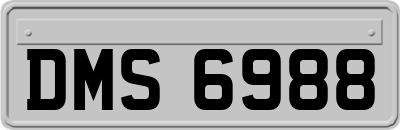 DMS6988