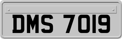 DMS7019