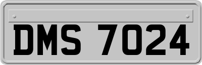 DMS7024
