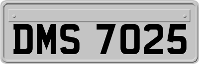 DMS7025