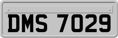 DMS7029