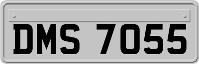 DMS7055