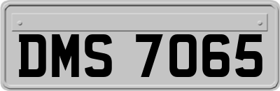 DMS7065