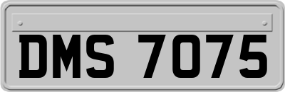 DMS7075