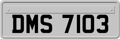 DMS7103