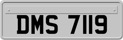 DMS7119