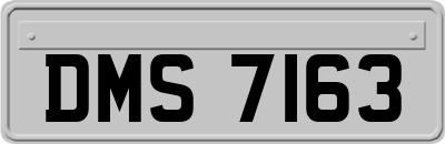 DMS7163