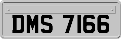 DMS7166