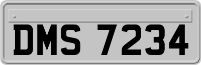 DMS7234