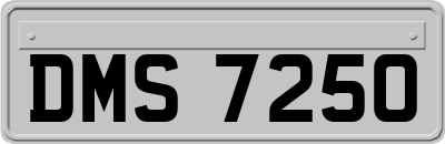 DMS7250