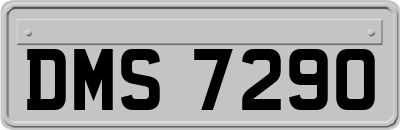 DMS7290