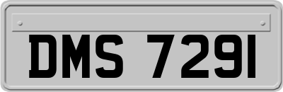 DMS7291