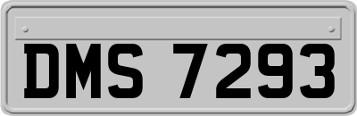 DMS7293
