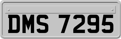 DMS7295