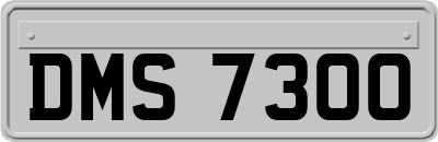 DMS7300