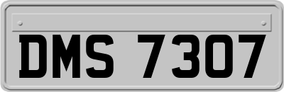 DMS7307
