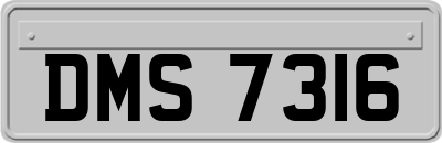 DMS7316