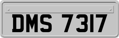 DMS7317