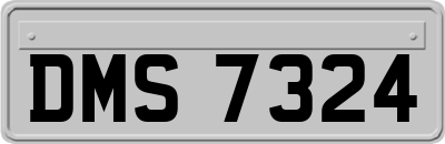 DMS7324