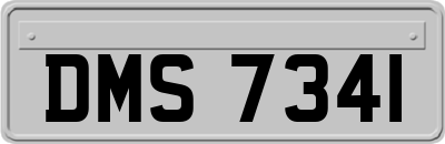 DMS7341
