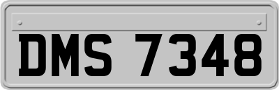 DMS7348