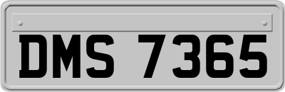 DMS7365