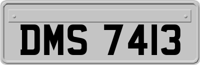 DMS7413