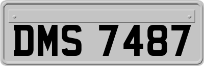 DMS7487