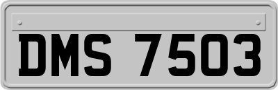 DMS7503