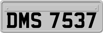 DMS7537