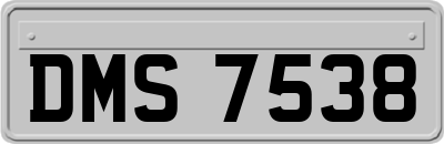DMS7538