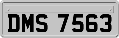 DMS7563