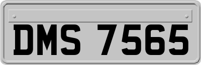 DMS7565