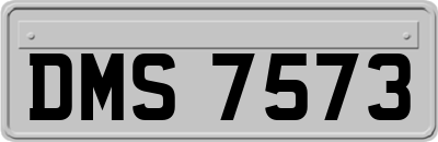 DMS7573
