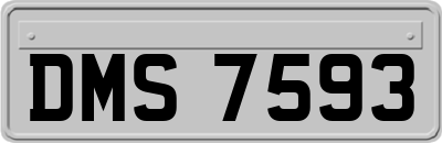 DMS7593