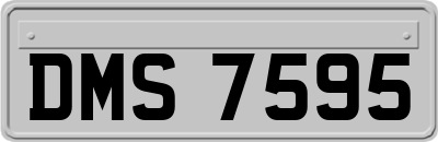 DMS7595