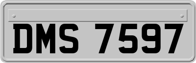 DMS7597