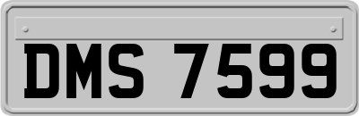 DMS7599