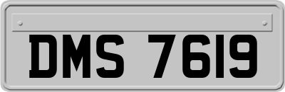 DMS7619